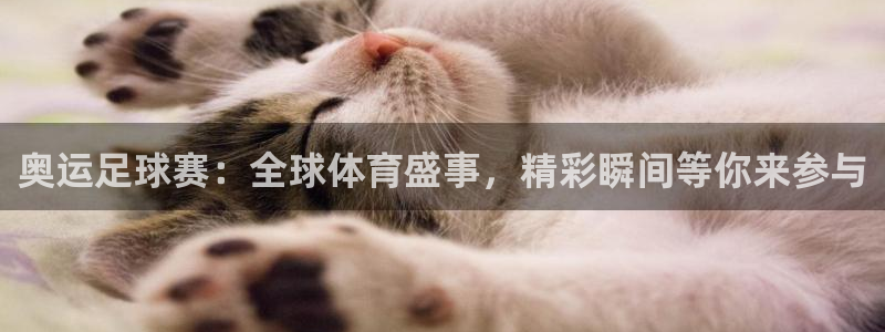 意昂2官方网站:奥运足球赛:全球体育盛事,精彩瞬间等你来参与